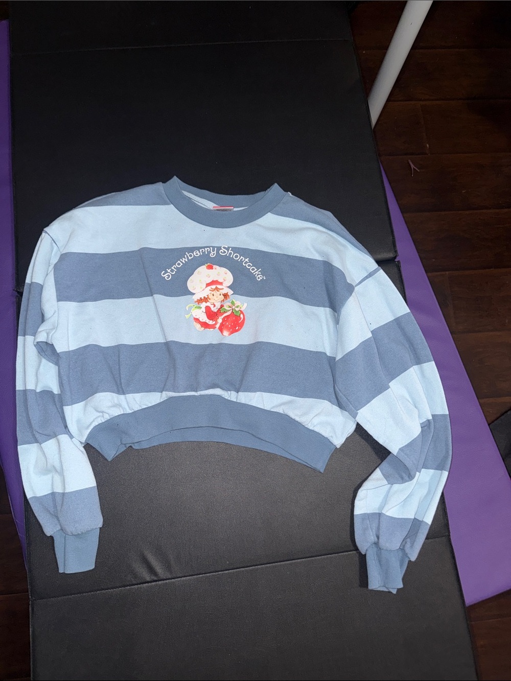 Striped Light Blue & Navy Crewneck Sweater with Strawberry Shortcake crop